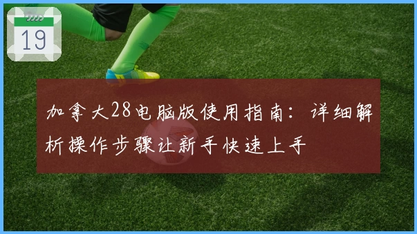 加拿大28电脑版使用指南：详细解析操作步骤让新手快速上手