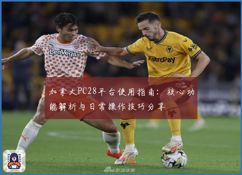 加拿大PC28平台使用指南：核心功能解析与日常操作技巧分享