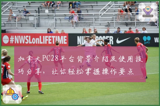 加拿大PC28平台背景介绍及使用技巧分享，让你轻松掌握操作要点