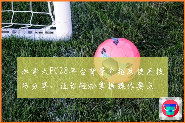 加拿大PC28平台背景介绍及使用技巧分享，让你轻松掌握操作要点