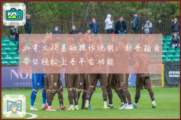 加拿大28基础操作说明：新手指南带你轻松上手平台功能