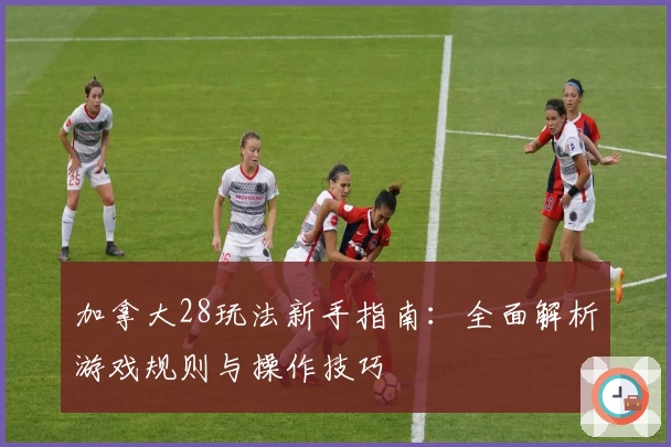 加拿大28玩法新手指南：全面解析游戏规则与操作技巧