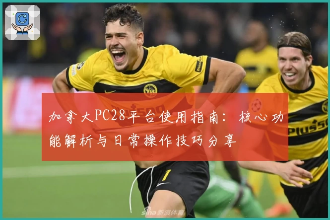 加拿大PC28平台使用指南：核心功能解析与日常操作技巧分享