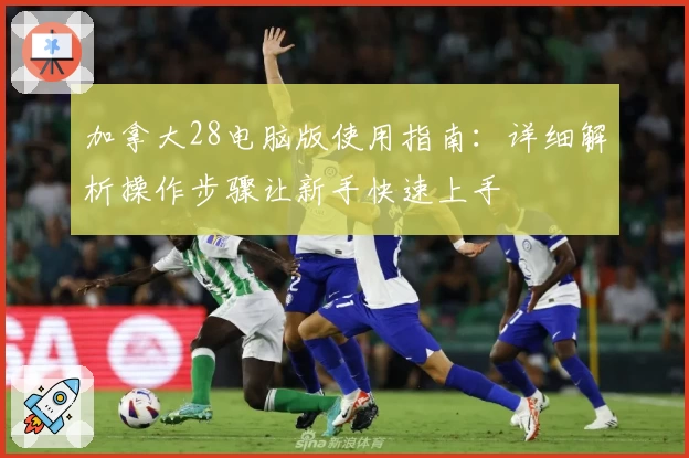 加拿大28电脑版使用指南：详细解析操作步骤让新手快速上手